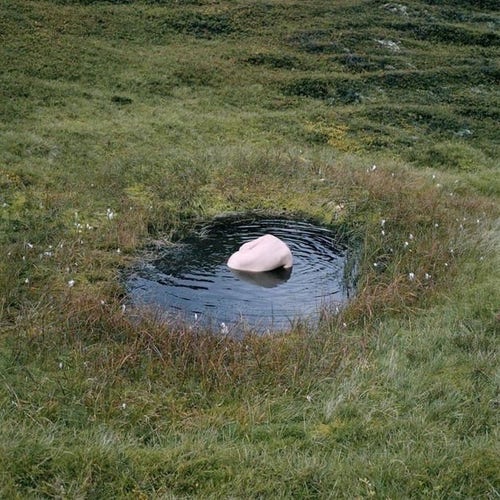 stone-like nude body in small, dark pool of water in meadow — image by marcus glahn