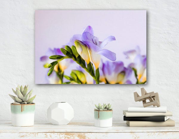Vibrant purple and pale yellow freesia flowers. One of my photographs which I have processed with several painterly layers to give a soft pastel and pencil effect along with a canvas texture.