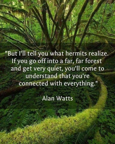But I'll tell you what hermits realize. If you go off into a far, far forest and get very quiet, you'll come to understand that you’re connected with everything. Alan Watts 