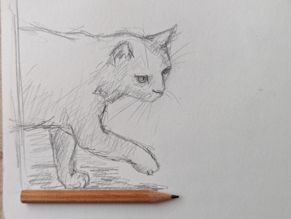 Handmade black and white pencil drawing of a cat walking from the left to the right side by artist Karen Kaspar