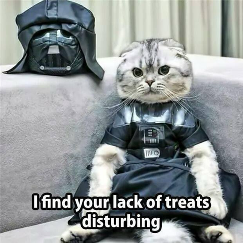 A little cat in a Darth Vader costume with the words I find your lack of treats disturbing.