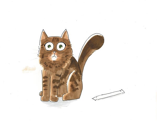 A hand-drawn cartoon of a fluffy tabby cat sitting looking shocked next to a straw in its paper wrapper.
