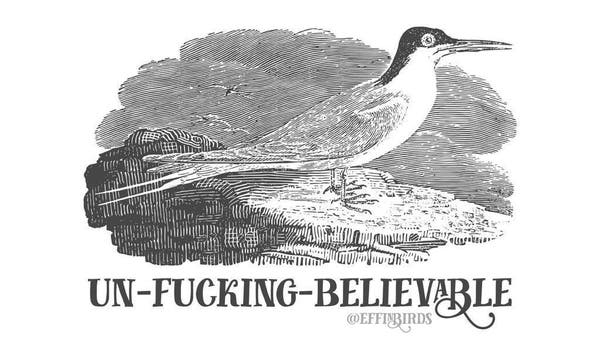 A painting of a bird above the words "un-fucking-believable"