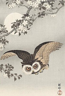 Vintgage Japanese painting of a brown owl in flight beneath a light grey branch with many white flowers and dark grey leaves. The background of the painting is light grey and there is a large white moon. 