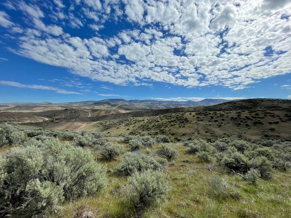 A view looking over sagebrush towards rolling hills and a distant mountain capped with snow. The deep blue sky is scattered with fluffy clouds.