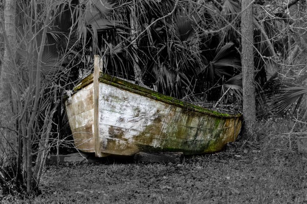 An old boat lies among trees and brush. The boat's white paint is cracked and worn and green mosses are growing in spots on the boat's hull.