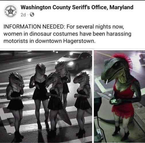 Information Needed: For several nights now, women in dinosaur costume shave been harassing motorists in downtown Hagerstown
