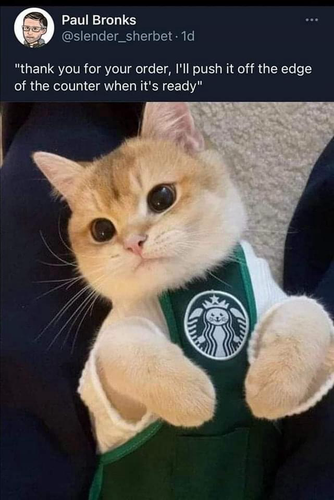 (A cat wearing a Star Bucks uniform)  Paul Bronks @slender_sherbet  "thank you for your order, I'll push it off the edge of the counter when it's ready"