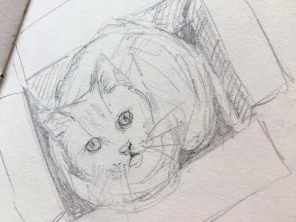 Handmade black and white pencil drawing in a sketchbook by Karen Kaspar. A cat sits in a small box and looks up at the viewer as if asking: Isn't there a bigger box?