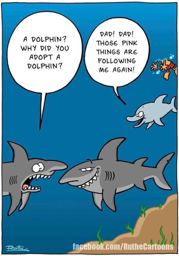 A cartoon of two sharks talking, One says  "A dolphin? why did you adopt a dolphin?" and the dolphin says "Dad! Dad! those ping things are following me again". We can see a swimmer following the dolphin and the second shark is smirking.