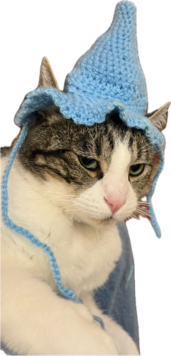 A tabby cat looking sour wearing a crotchet wizard hat