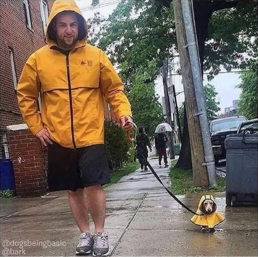 A man is walking a tiny dog in the rain. They are wearing bright yellow, matching raincoats.