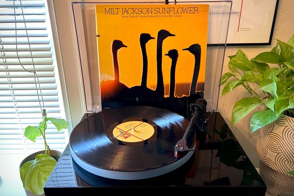 A back vinyl record spins on a black turntable, flanked by green houseplants, as the album cover, bright yellow with flamingo silhouettes, stands up behind the platter