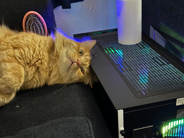 Fluffybutt asserts his dominance over the new computer, and is not ‘technically’ sitting on it, this much is true.
He rests his big orange head against it