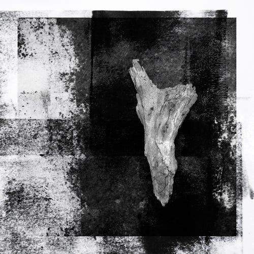 Black and white image of a worn piece of wood, on dark slate background, with ink textured overlays.