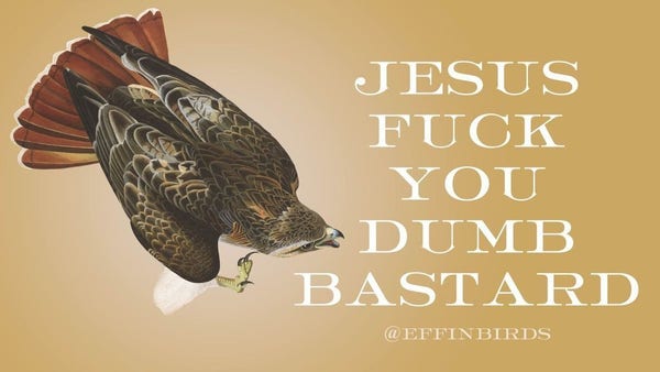 A painting of a bird next to the words "jesus fuck you dumb bastard"