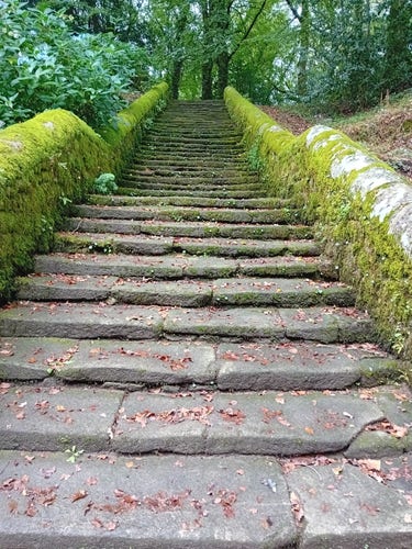L escalier en pierre en partie couvert de mousse