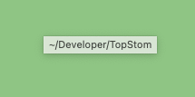 Tooltip floating on macOS: `~/DeveloperTopStom`