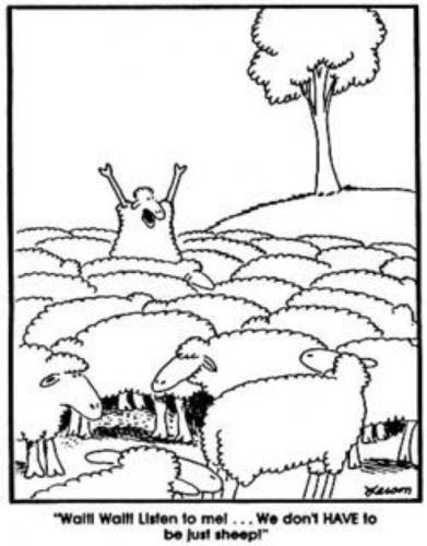 A Far Side comic, black and white line drawing of a flock of sheep, one sheep - having an epiphany - stands upright and exclaims “Wait! Wait! Listen to me!  We don’t HAVE to be just sheep!”
