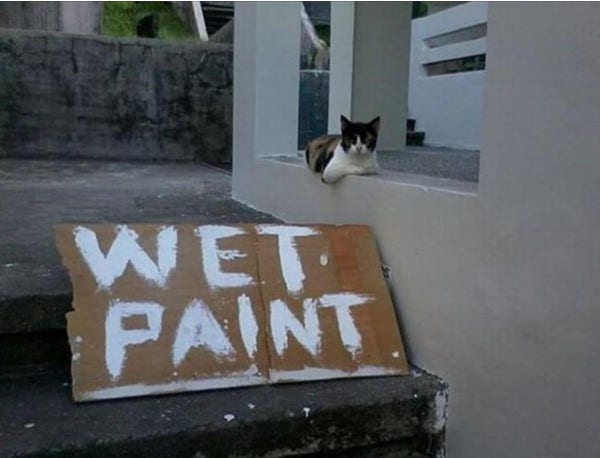 A cat is sitting on a freshly painted outdoor wall completely disregarding a huge sign that says, “WET PAINT.”