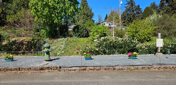 Graveled strip between a walking/biking trail and a side street, potted plants at intervals with a fire hydrant in the center and a no parking, fire lane sign. Additional sign in green says Please Be Respectful. 
