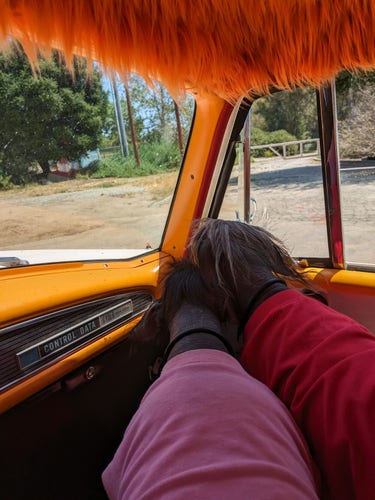 Smell-O-Vision: vent window tilted out (edge visible only). disco left. pink shirt, Devo in red, noses together in the breeze. car interior is Mango Orange with orange fur above.