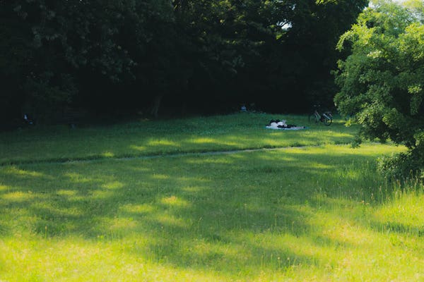 Two people lying facing down on the grass in a sunny day.