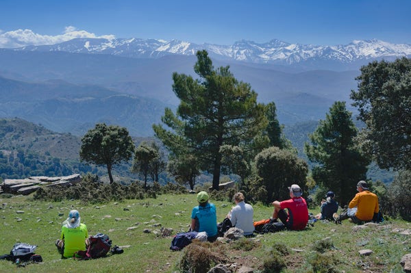 A small group of hikers sit in the sunshine on a grassy meadow. Some trees are behind them and in the distance some high snow covered mountains