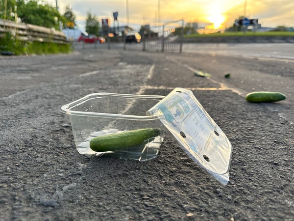 an artsy close-up photo of an open plastic container on the side of the road. there’s a tiny cucumber inside it, and another one outside to the right. the evening sun is visible in the distance