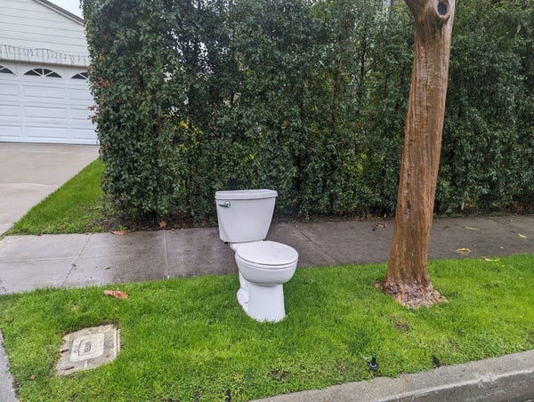 A suburban curb with a hedge, telephone pole and garage. On the verge sits a white toilet.