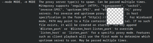 A terminal showing the description of several proxy server types.

The mouse pointer hovers over the word "transparent" with the terminal rendering a squared checkerboard below.