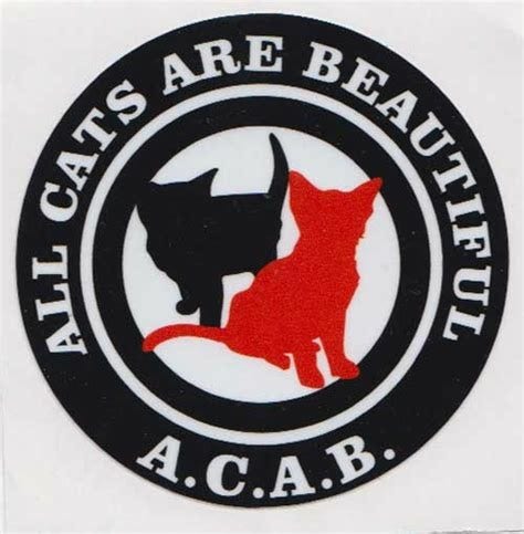 Patch in antifa stil a.c.a.b, all cats are beautiful