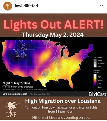 Lights out for bird migration 