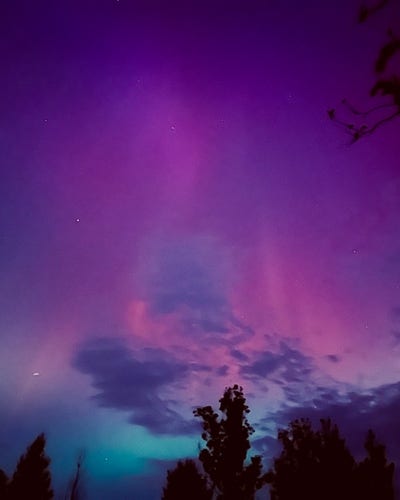 Yet another aurora picture, this one with red, purple and blue, silhouettes of trees at the bottom, and visible stars. I like this because there are low lying clouds coming in. Also, the pinks, blues and purples are apparently only visible in strong storms like this one.