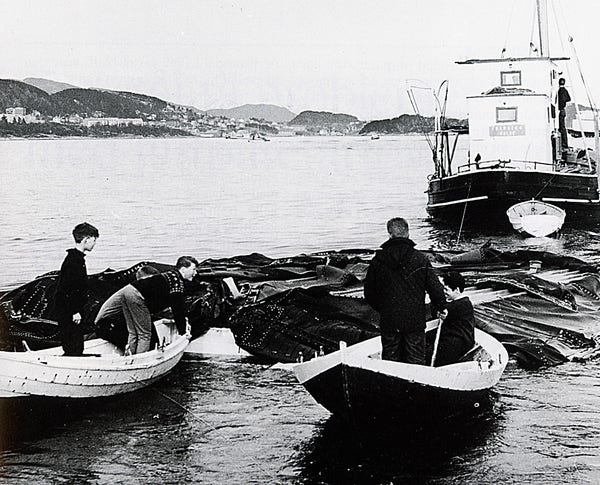 A black and white photo of the capsized hovercraft SR-N5/001  being towed to shore. Two rowboats with kids inspecting the wreckage are in the foreground.