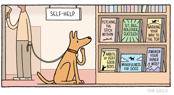 Cartoon: at the bookshop a dog looks (with indecision) at a Self Help books shop where the following books are displayed:
Fetching the Stick Within
Sit, Beg, Rollover, Succeed,
Barking your Way to the Top
7 Habits of Very Good Boys
Mindfullness for Dogs
Awaken Your Inner Wolf