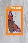 A butterfly framed in orange and labeled “person” by machine learning.