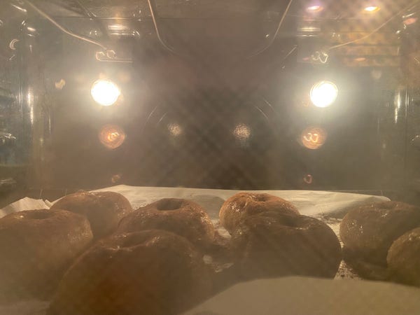 eight weirdly small cinnamon raisin bagels on parchment in the oven