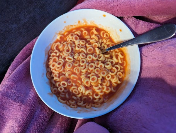 A big bowl of spaghettios, as is my right as an adult to eat whatever I want