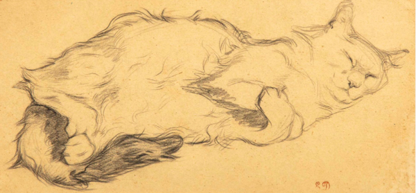 Sketch of an adorable medium haired cat sleeping on its side. Its little feet are curled up adorably in back and its forepaws are loosely crossed in front. Its face has a happy, relaxed expression.