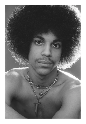 black and white studio shot of Prince, shirtless with big afro and light mustache making eye contact. 