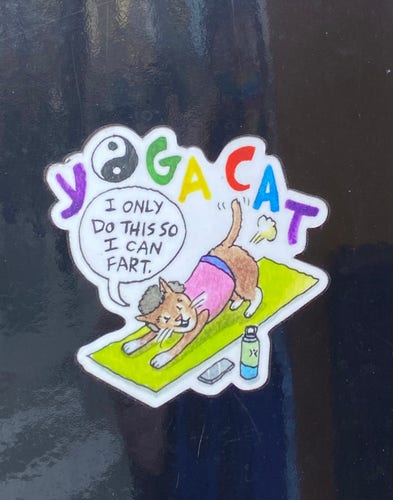 sticker on a utility pole of YOGA CAT in tail-up position on a yoga mat saying “I only do this so I can fart”