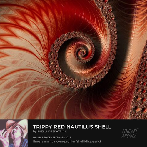 Red Fractal Spiral Art where intricate patterns spiral towards the center like a trippy nautilus shell, displaying a mixture of red, brown, and white hues with a fractal-like design that suggests depth and complexity. The edges of the spiral are detailed with what looks like countless tiny spheres, contributing to the ornate, textured appearance of the entire composition.