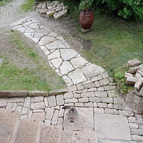 Cheminement pavé et dallé au bas d'un escalier.
En bas et au centre, un joli chaton tigré est assis sur une dalle et regarde en direction de la photographe.
En haut et à droite, des restes de pavés à réutiliser ailleurs.
Entre les deux, une jarre en grès brun contenant une plante.