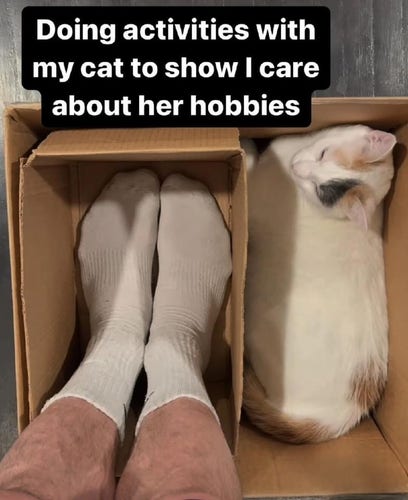 In this image we can see a person's legs and a cat in a box.