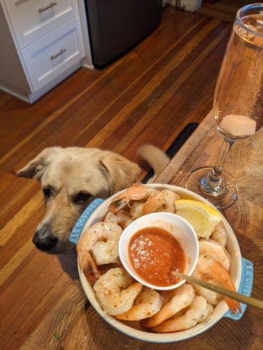 A plate of shrimp with lemon and cocktail sauce next to a champagne flute and a golden dog