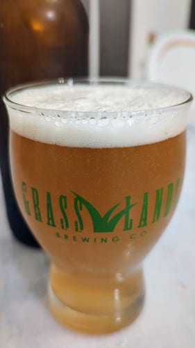 A single hop IPA in a Grassland Brewing Co glass.