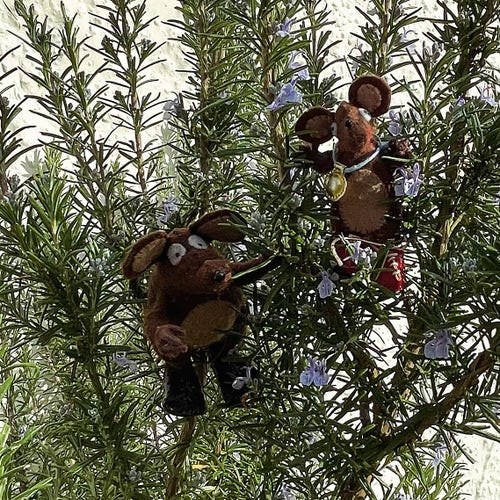 Photo of Minimus and Silvius, the Latin mice, on a rosemary bush. Perhaps they will use the scented needles for their bathwater, or maybe they will flavour their food instead.