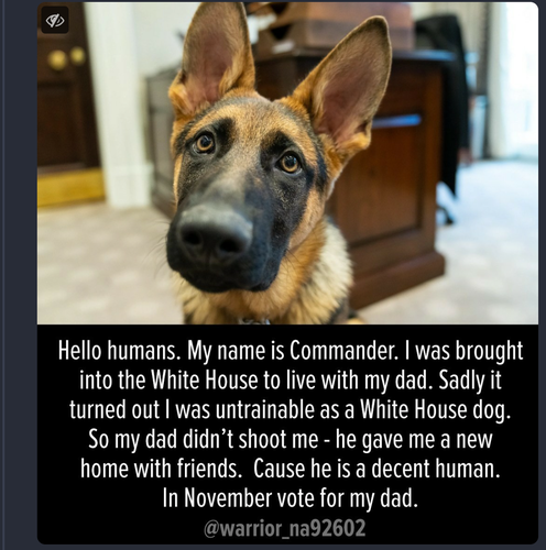 Picture of Biden's German shepherd, Commander. Words underneath say. Hello humans. My name is Commander. I aws brought into the White House to live with my dad. Sadly it turned out I was untrainable as a White House dog. So my dad didn't shoot me - he gave me a new home with friends. Cause he is a decent human. In November vote for my dad. @warriro_na92602