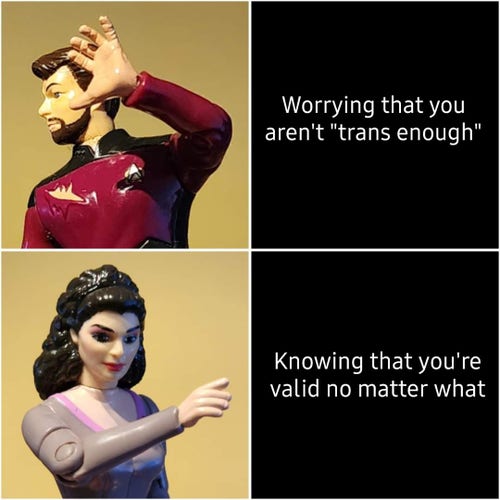 A Riker-action figure recoils from the words "Worrying you aren't 'trans enough'" while, below, a Troi action figure gestures approvingly towards the words "Knowing that you're valid no matter what" 